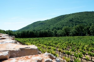 chateau-saint-baillon-4