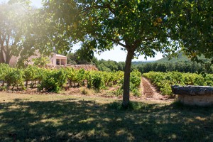 chateau-saint-baillon-9